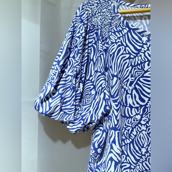 Lilly Pulitzer Blue White Puff Sleeve Rosen Dress - Picture 5 of 7